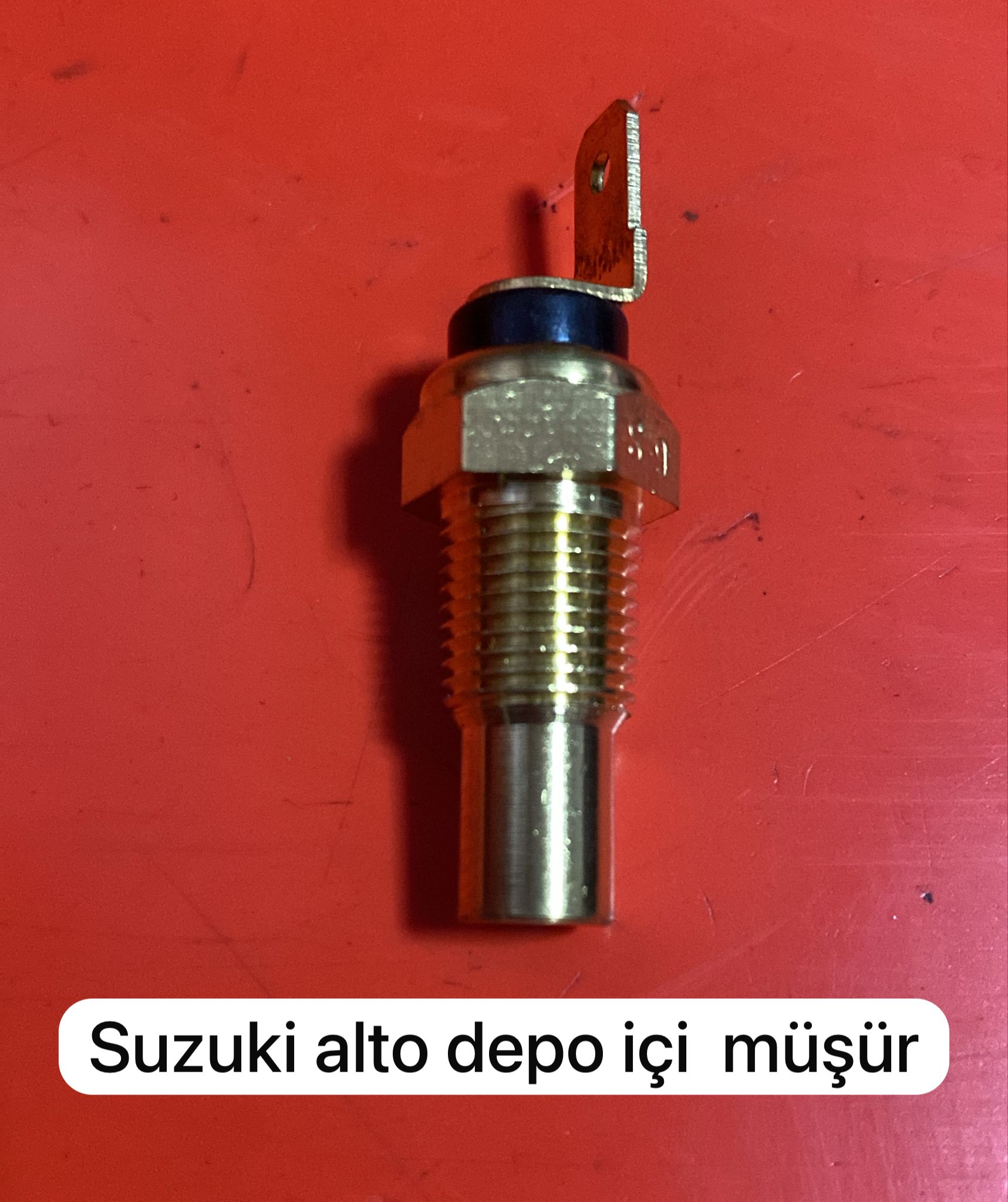 SUZUKİ ALTO DEPO İÇİ MÜŞÜR -X14042025-1392