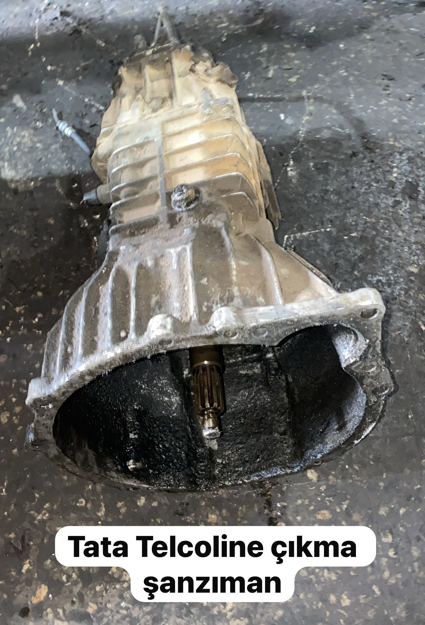 TATA TELCOLİNE ÇIKMA ORJİNAL ŞANZUMAN -X14042025-5670