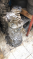 MAZDA BT50 ÇIKMA ORJİNAL KOMPLE ŞANZUMAN -X14042025-5924