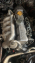 NİSSAN VANETTE MOTOR