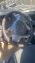 TATA XENON DİREKSİYON SİMİDİ